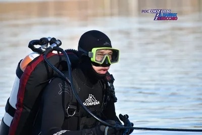 Картинки с Днем водолаза (75 открыток). Картинки с надписями и поздравлениями на День водолаза