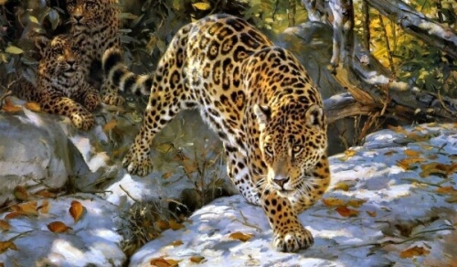 Картинки с Днем ягуара (33 открытки). Картинки с надписями и поздравлениями на Всемирный день ягуара