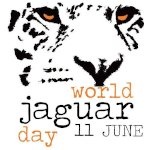 Картинки с Днем ягуара (33 открытки). Картинки с надписями и поздравлениями на Всемирный день ягуара