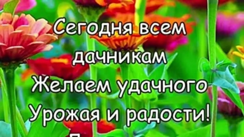 Картинки с Днем дачника (51 открытка). Картинки с надписями и поздравлениями на День дачника