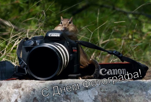 Картинки с Днем фотографа (53 открытки). Картинки с надписями и поздравлениями на День фотографа