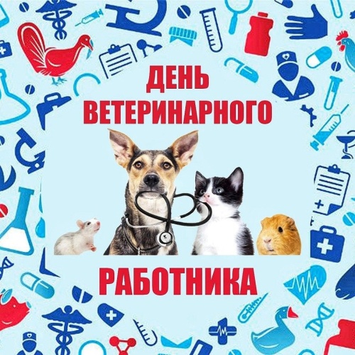 Картинки с Днем ветеринарного работника (74 открытки). Прикольные открытки с Днем ветеринарного работника