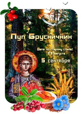 Картинки на Луп брусничник (36 открыток). Красивые открытки на Луп брусничник