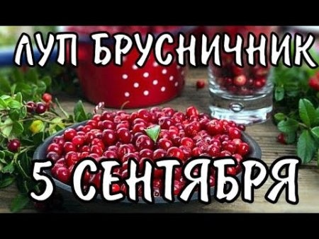 Картинки на Луп брусничник (36 открыток). Красивые открытки на Луп брусничник